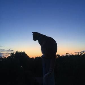 Meet your Posher, Avery